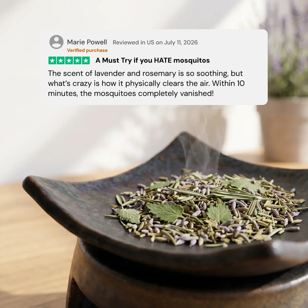 (NEW) The Complete Mosquito-Free Botanical Bundle (Limited Edition)