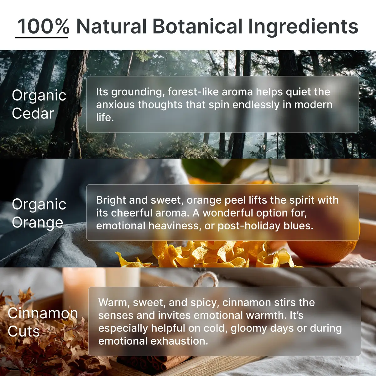 Holiday Comfort Seasonal Herbal Blend (Limited Edition)