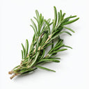 Rosemary - Reduces tension, headaches and migraines